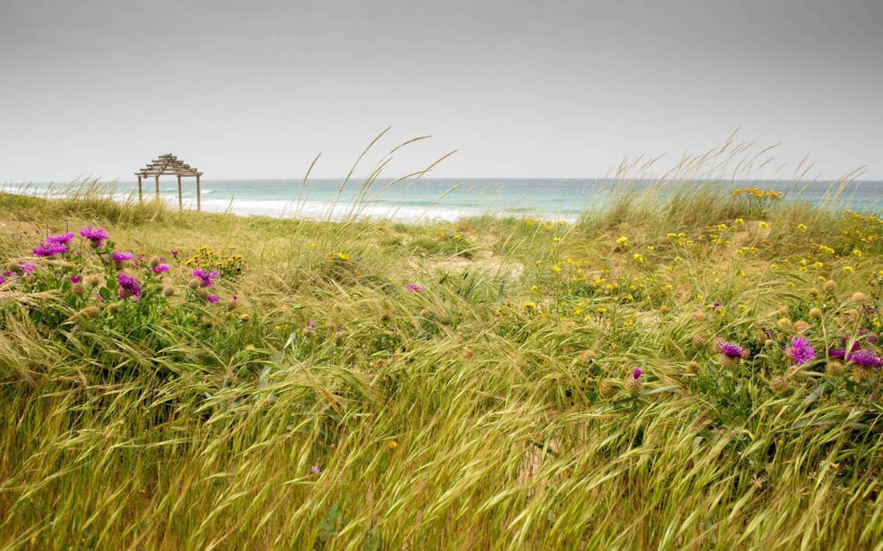 Romantic Beach Cabin - Playa El Palmar El Palmar (Andalucia) Exterior foto